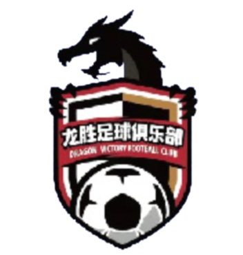 南京龙胜